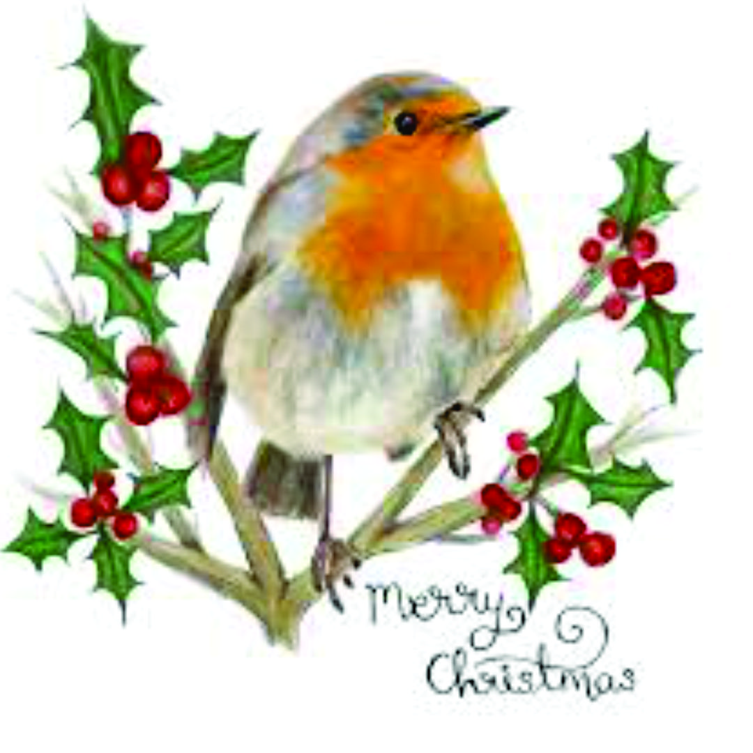 Christmas Robins