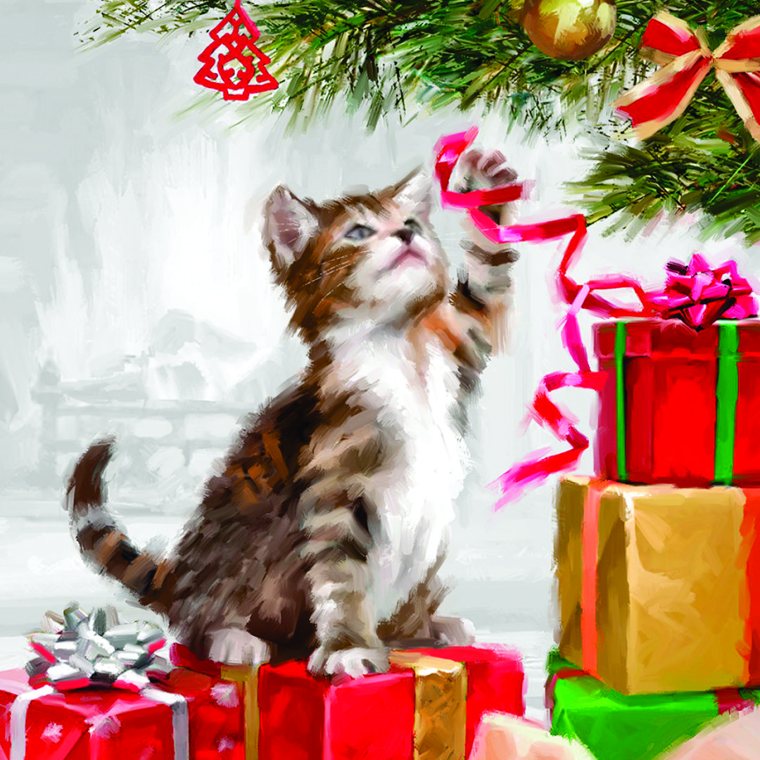 Kittens at Play