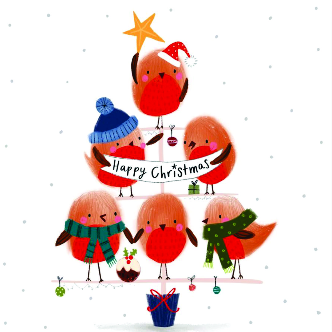 Merry Christmas Robins