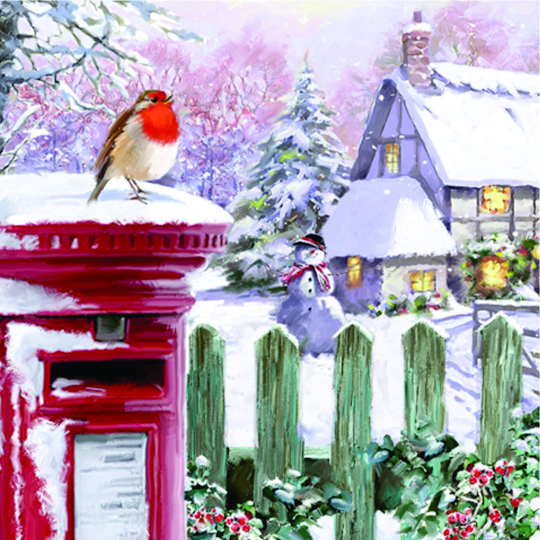 Robin and Post Box