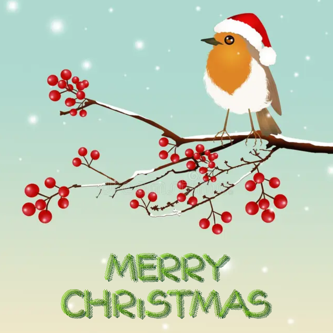 Topiary Robin