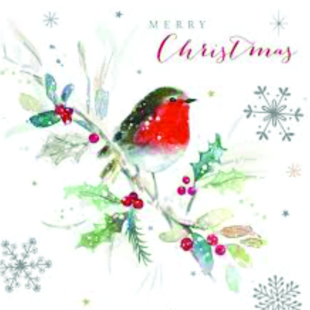 Festive Robins