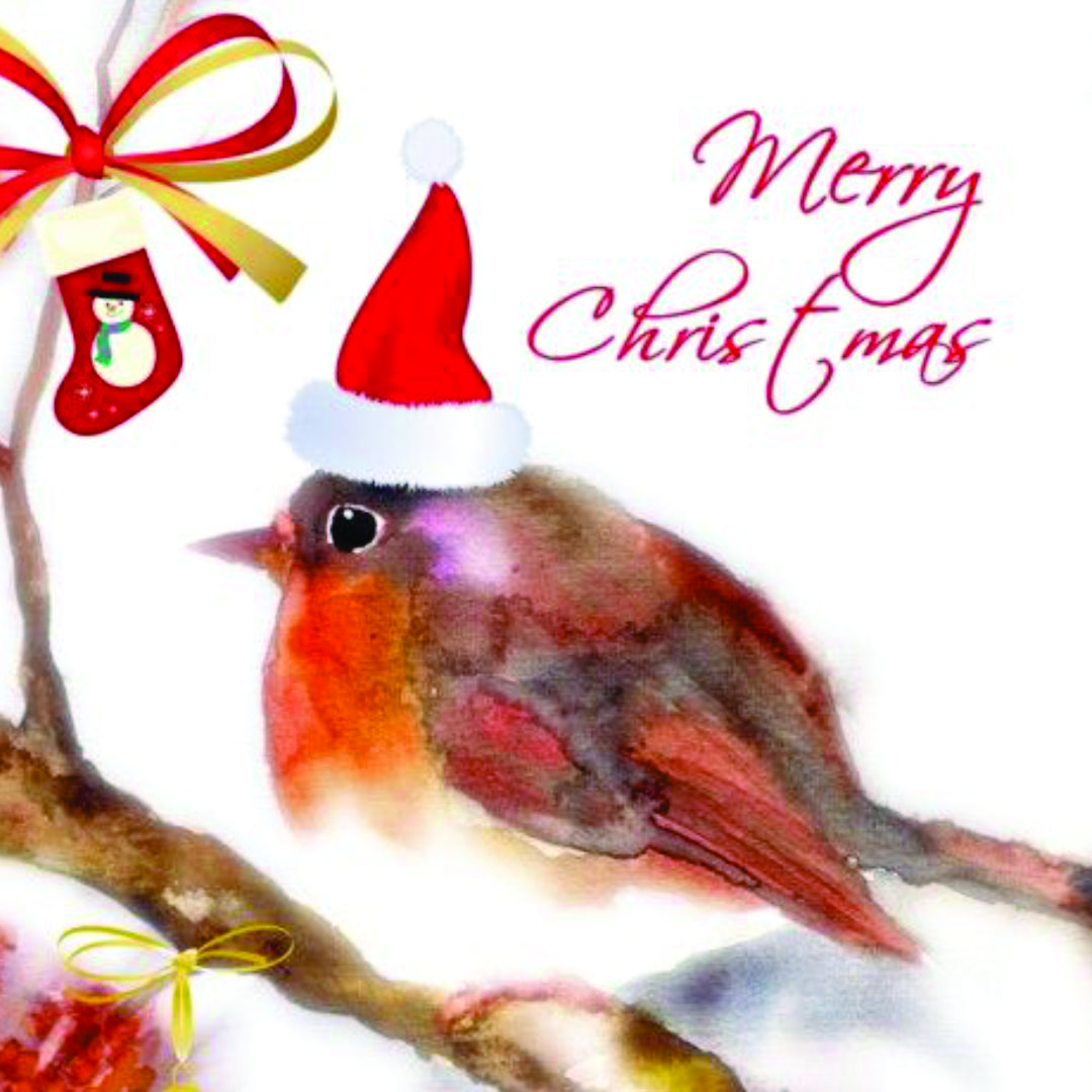 Merry Christmas Robins